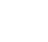 Nativa Digitale Logo